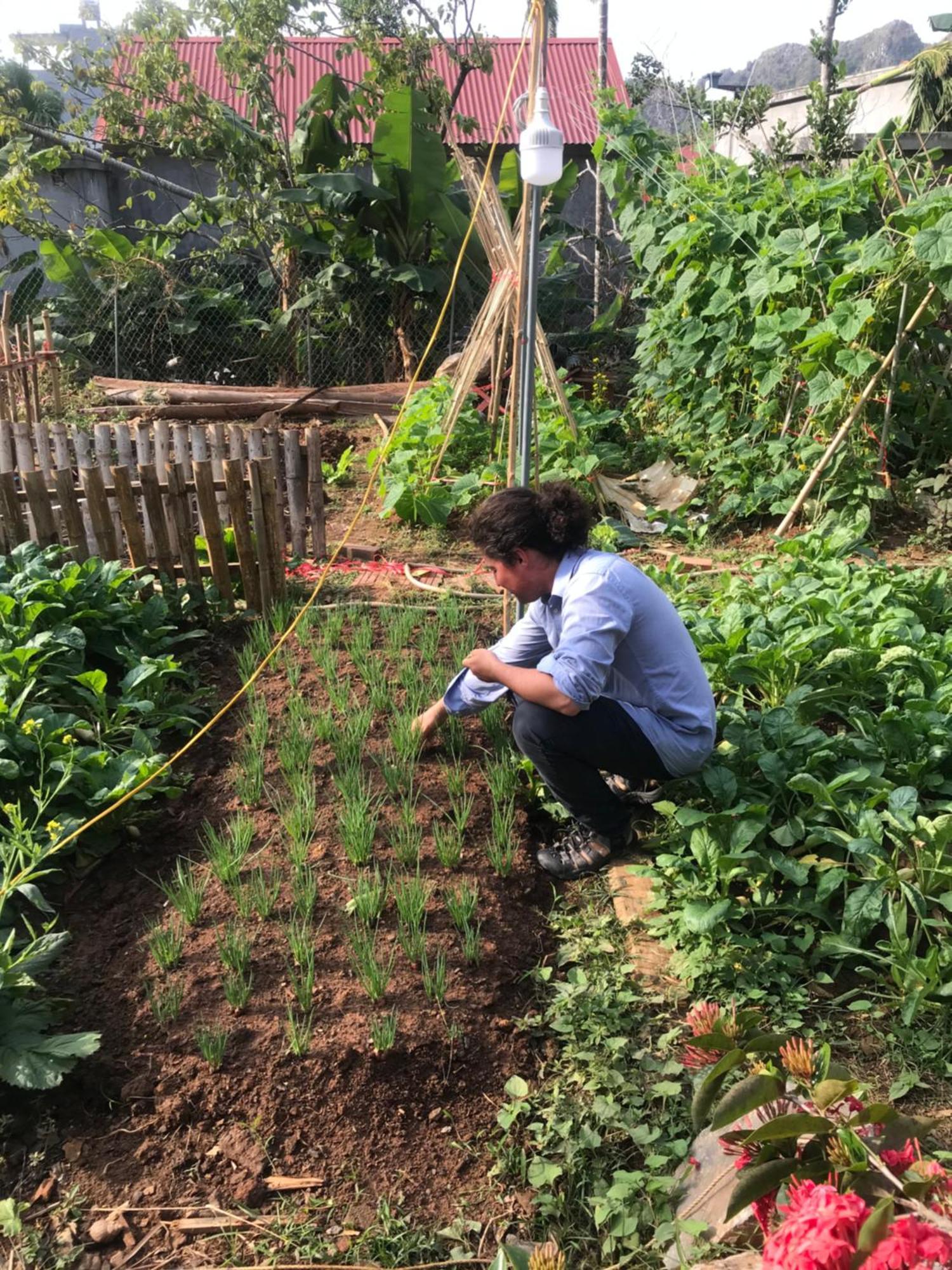 Bee Lucky Homestay Hien Hao Bagian luar foto